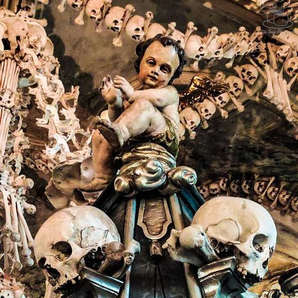 Meet your Posher, Curtis - Picture 1 of 1